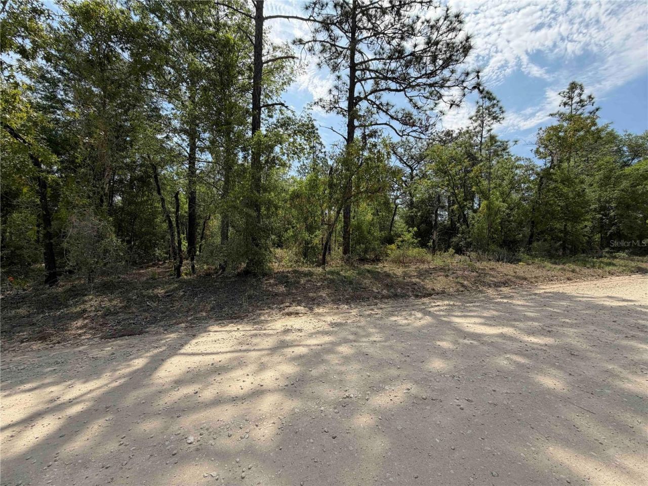 Tbd NE 110 Avenue, Bronson, FL 32621 Photo