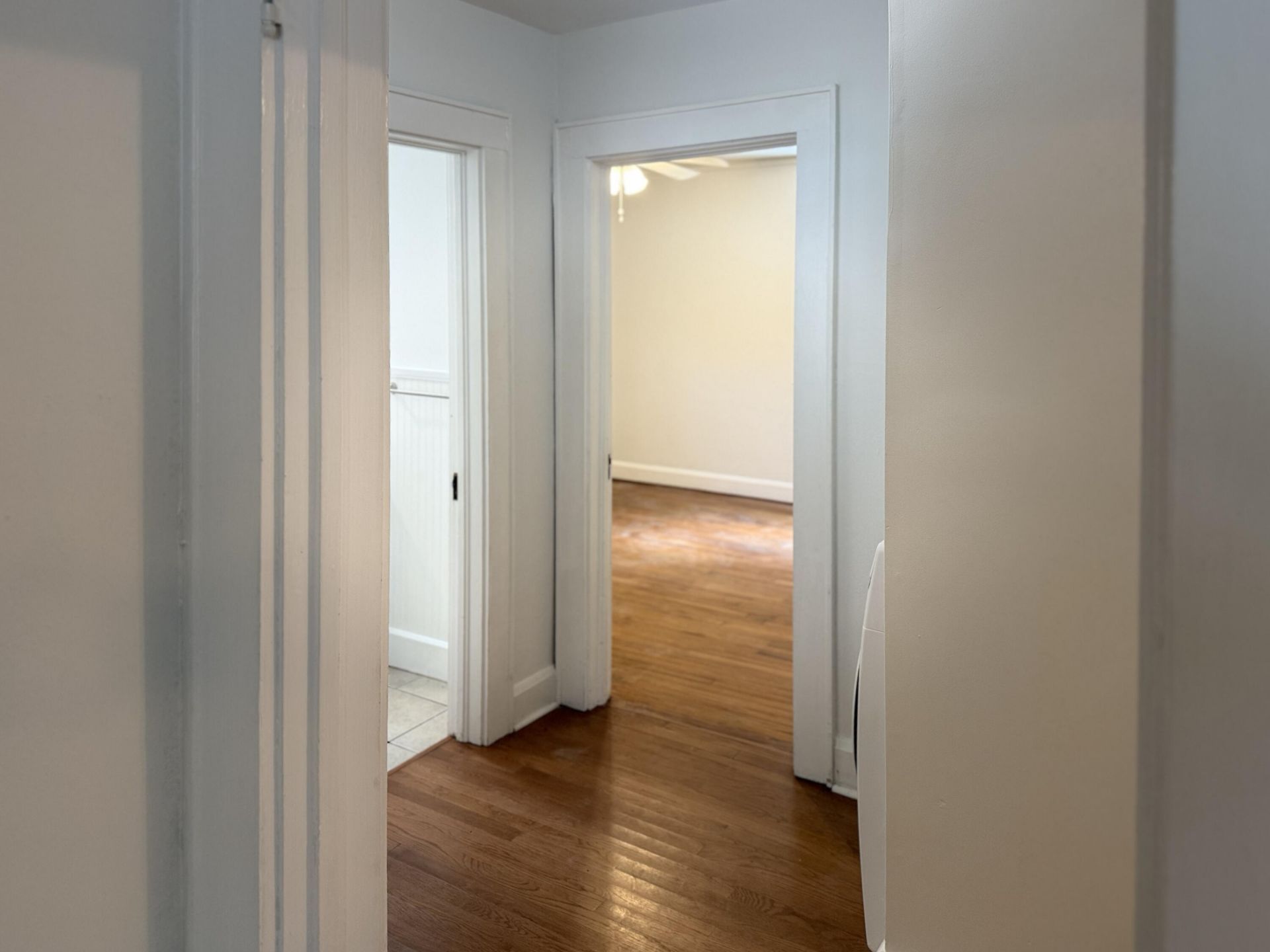 58 Avondale Avenue Photo 13
