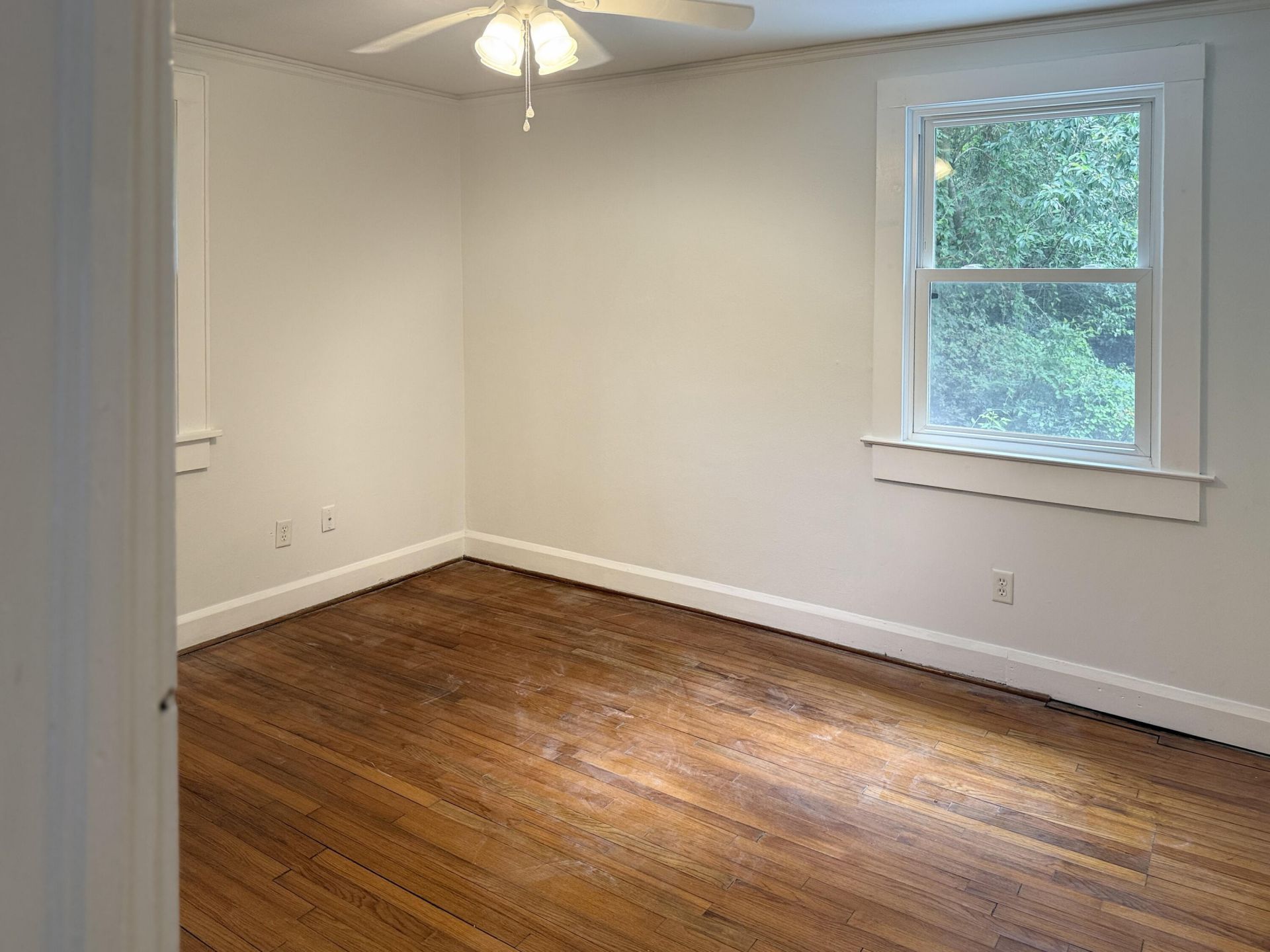 58 Avondale Avenue Photo 14