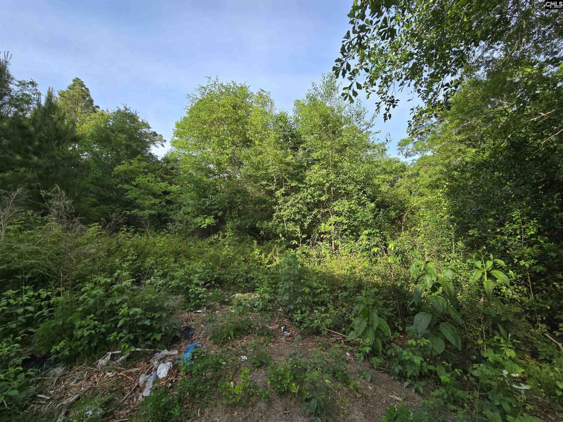 2808 Old Charleston Road Photo 60