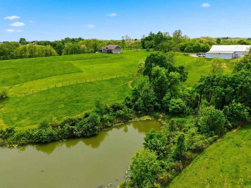 401 Simpson Ridge Road, Williamstown, KY 41097 Photo 46
