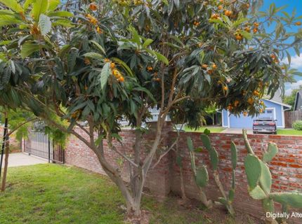 6236 Riverbelle, Rio Linda, CA 95673 Photo