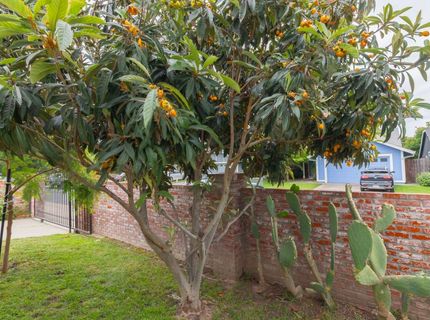 6236 Riverbelle, Rio Linda, CA 95673 Photo