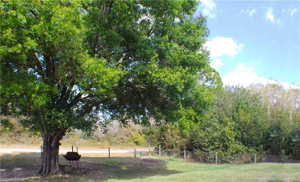 548 Bald Cypress Ave , Clewiston, FL 33440 Photo