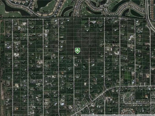 Amarillo ST , BONITA SPRINGS, FL 34135