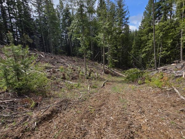 NNA Cabin Loop Road, St. Maries, ID 83861