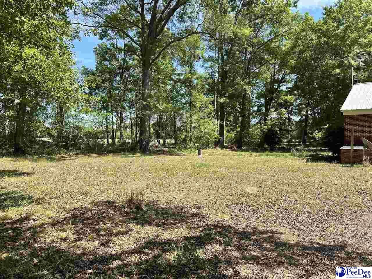 4140 Sally Bennett Rd Photo 24