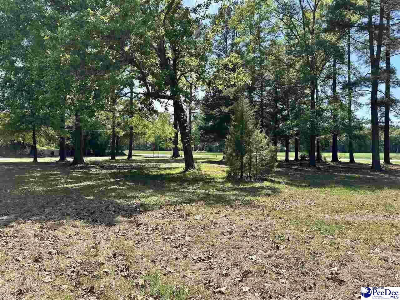 4140 Sally Bennett Rd Photo 27