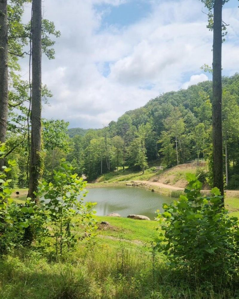170 Birch Hollow Road, Stanton, KY 40380 Main Photo