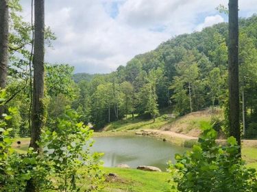 170 Birch Hollow Road, Stanton, KY 40380