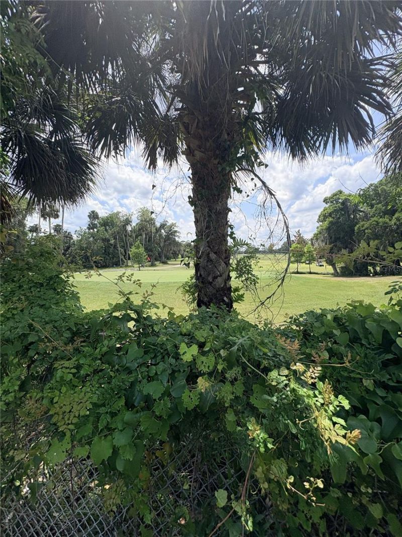 1054 Claudia Street , New Smyrna Beach, FL 32168 Photo