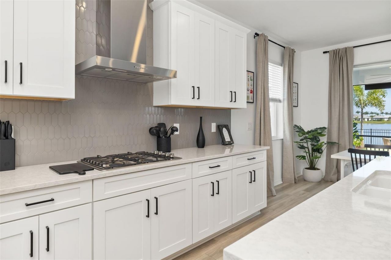 17237 Savory Mist Circle, Bradenton, FL 34211 Photo