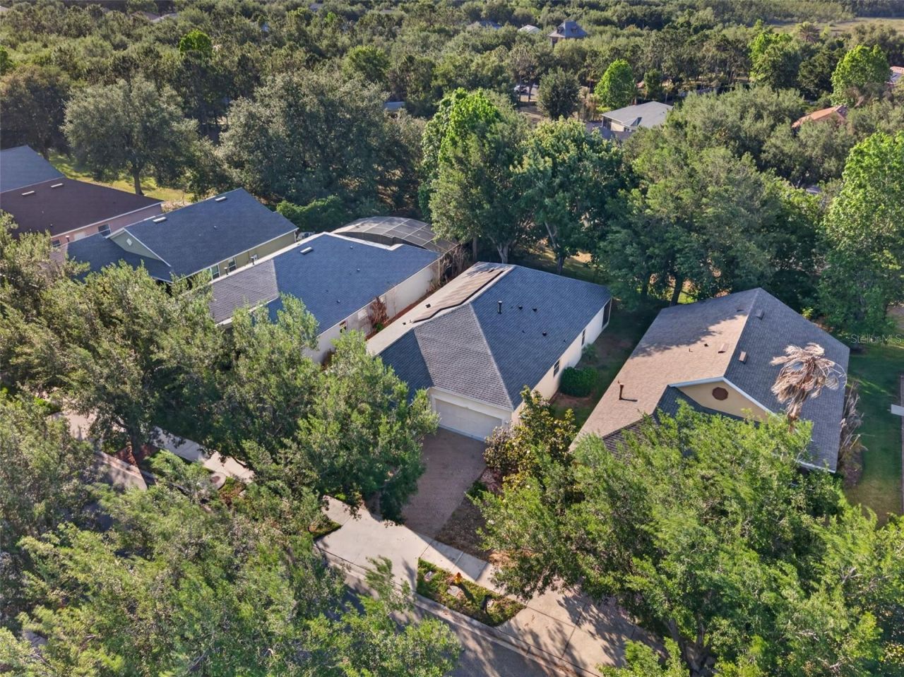 111 Flame Vine Way, Groveland, FL 34736 Photo