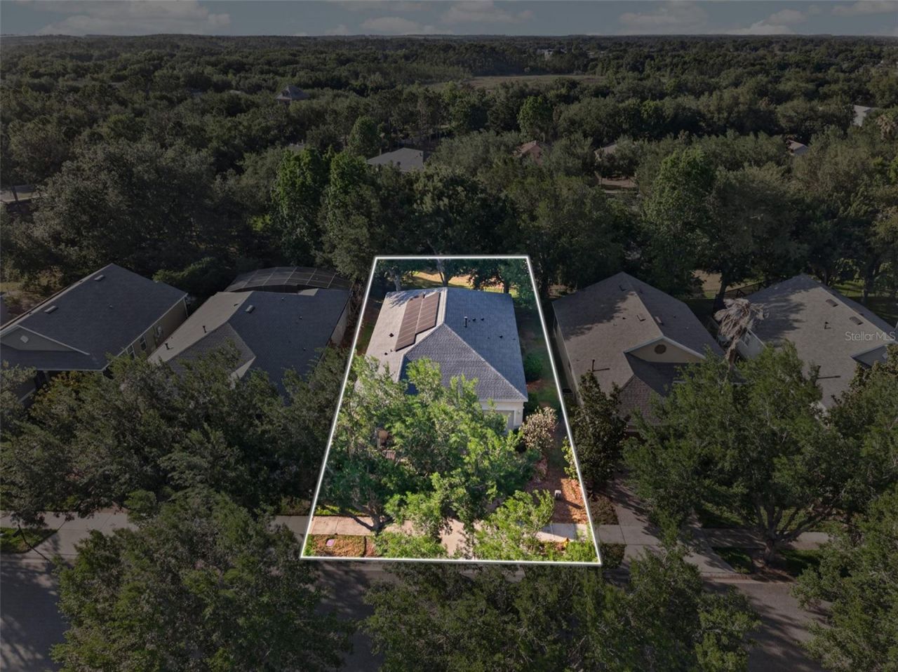 111 Flame Vine Way, Groveland, FL 34736 Photo
