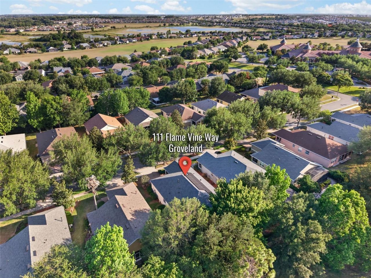 111 Flame Vine Way, Groveland, FL 34736 Photo