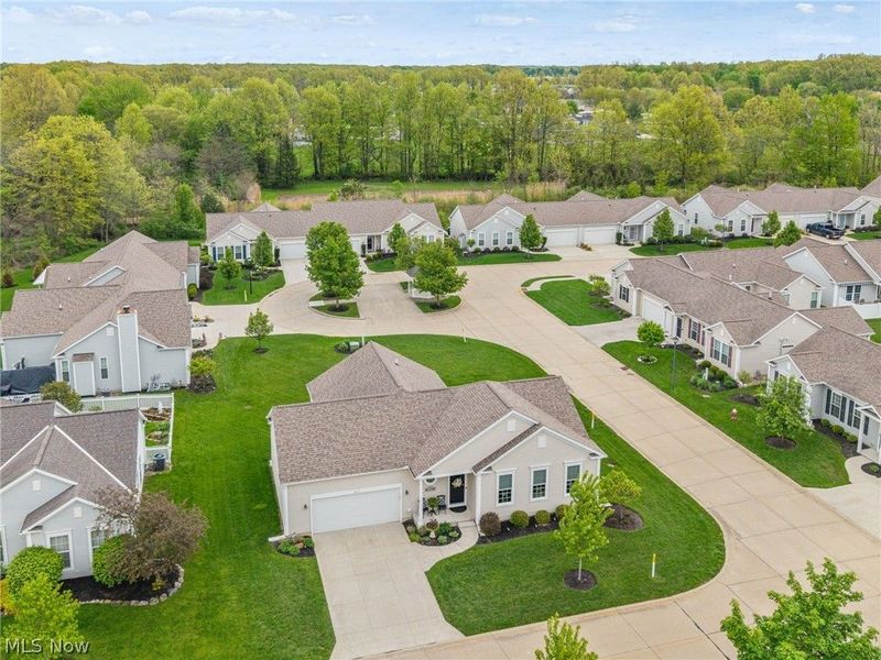 8744 Wakefield Run, North Ridgeville, OH 44039 Photo 24