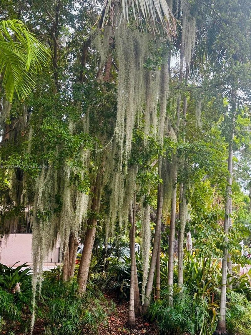 101 Crandon Blvd, Unit 276, Key Biscayne, FL 33149 Photo