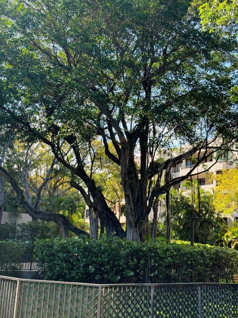 101 Crandon Blvd, Unit 276, Key Biscayne, FL 33149 Photo