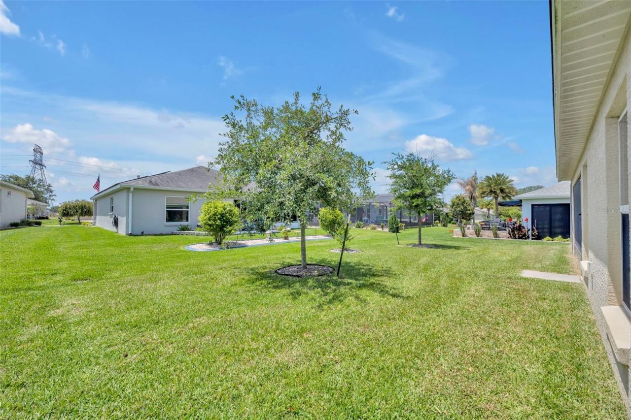 26669 Otter Creek Lane, Leesburg, FL 34748 Photo