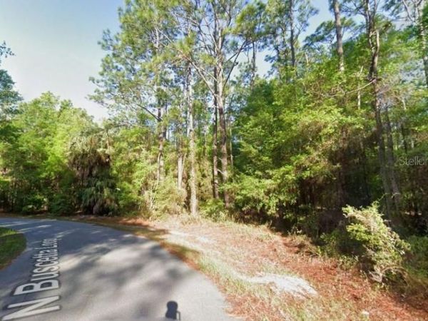 8754 N BUSCETTA LOOP , CRYSTAL RIVER, FL 34428