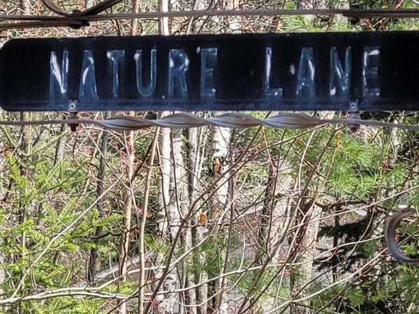 V/L Lot 13 Nature Lane, Ocqueoc, MI 49759