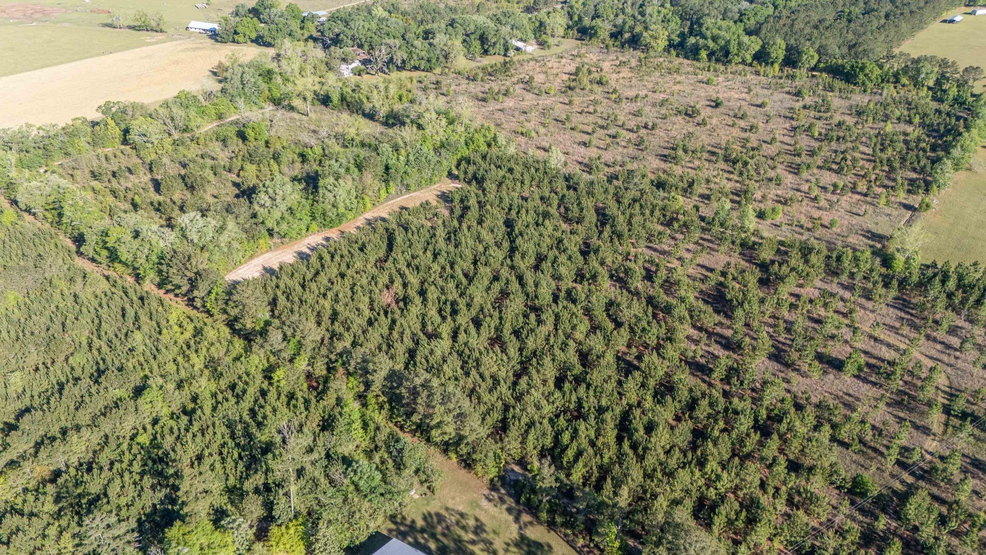 49 Will White Road, Quincy, FL 32351 Photo