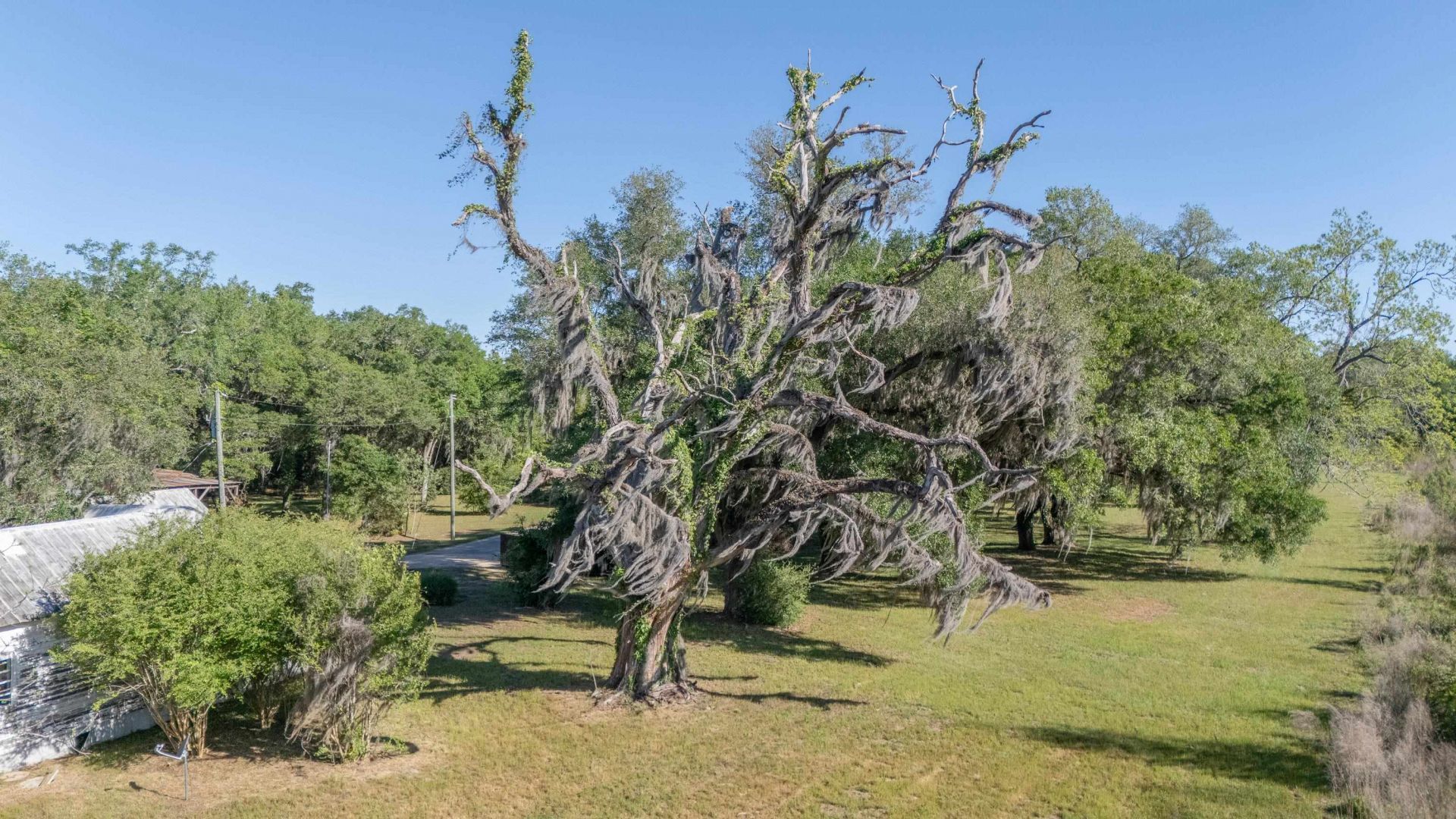 49 Will White Road, Quincy, FL 32351 Photo