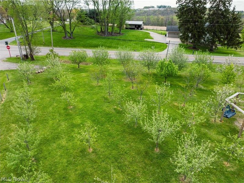 5884 State Route 93 NW, Dundee, OH 44624 Photo 9