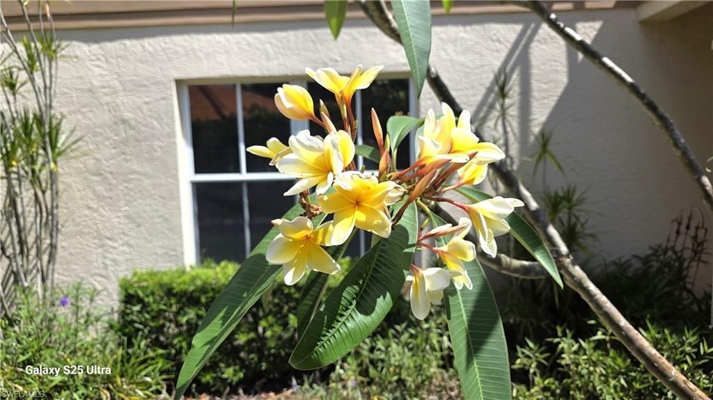 9060 Palmas Grandes Blvd, Unit 106, Bonita Springs, FL 34135 Photo