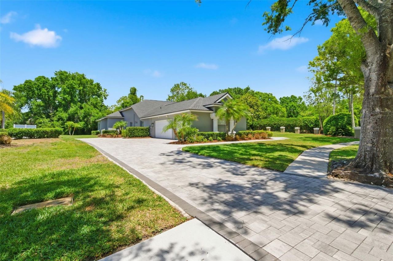 19130 Centre Rose Boulevard, Lutz, FL 33558 Photo