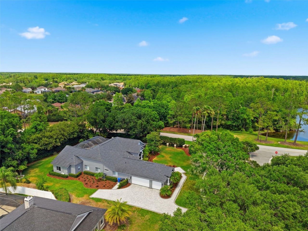 19130 Centre Rose Boulevard, Lutz, FL 33558 Photo