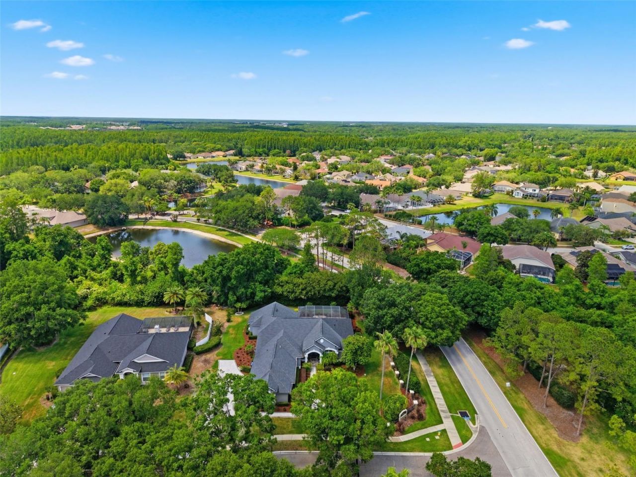 19130 Centre Rose Boulevard, Lutz, FL 33558 Photo