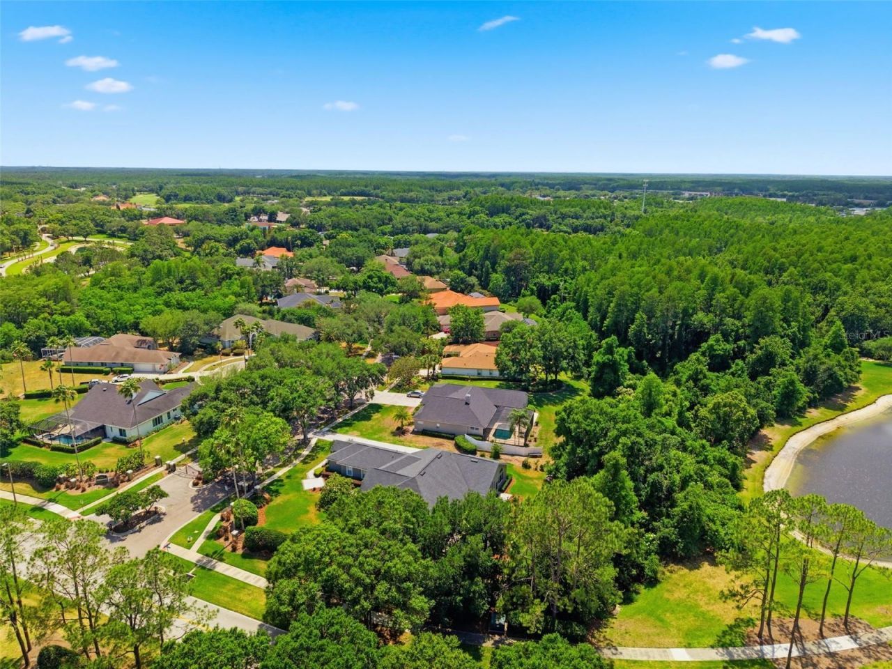 19130 Centre Rose Boulevard, Lutz, FL 33558 Photo