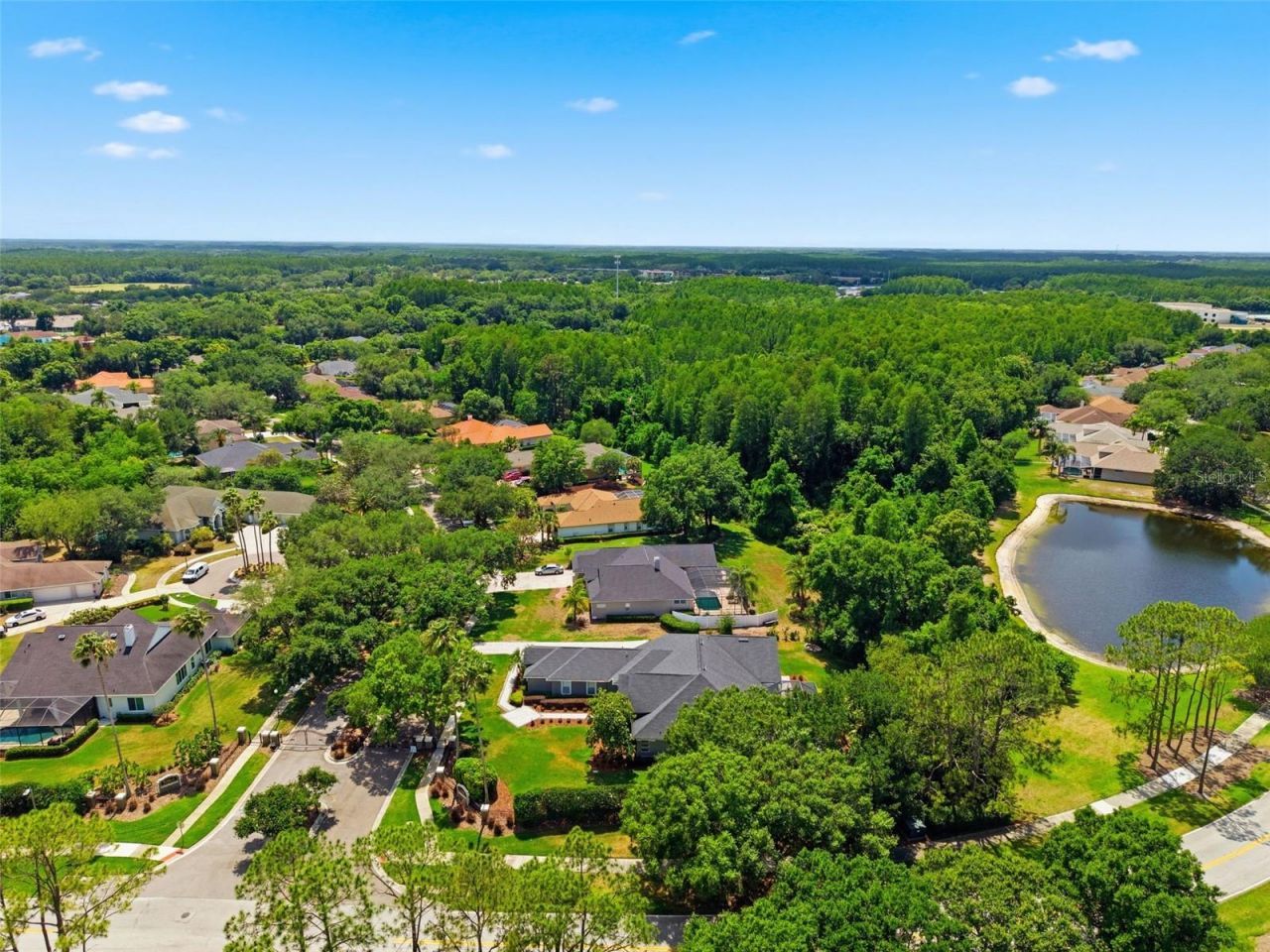 19130 Centre Rose Boulevard, Lutz, FL 33558 Photo
