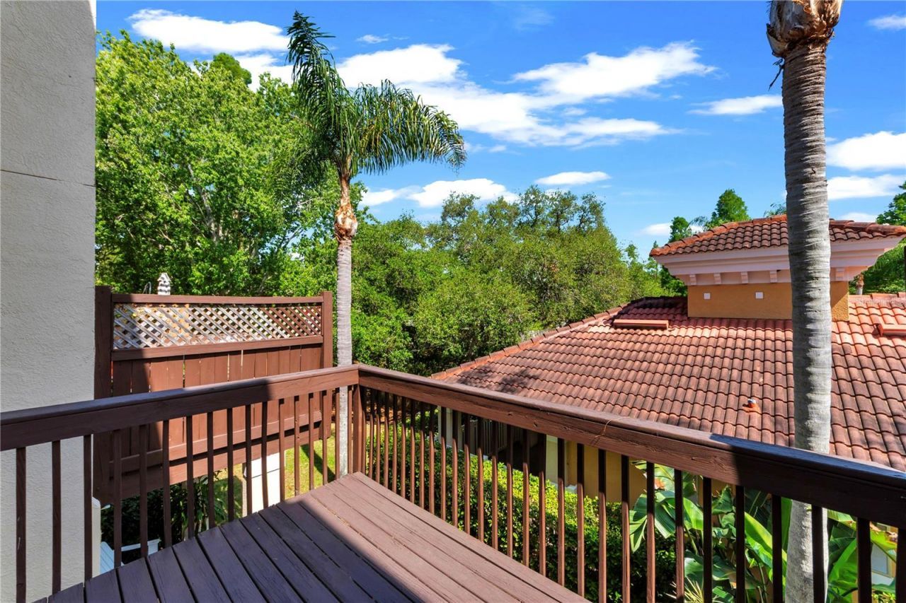 3115 Bayshore Oaks Drive, Tampa, FL 33611 Photo