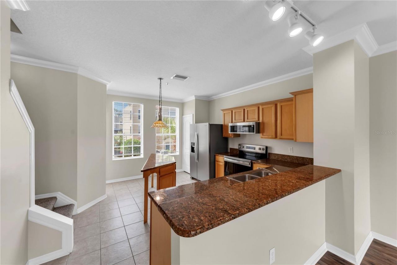 3115 Bayshore Oaks Drive, Tampa, FL 33611 Photo