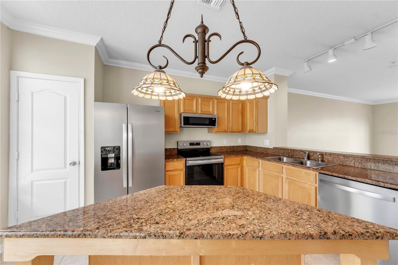 3115 Bayshore Oaks Drive, Tampa, FL 33611 Photo