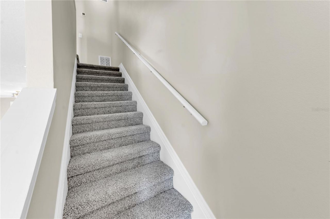 3115 Bayshore Oaks Drive, Tampa, FL 33611 Photo