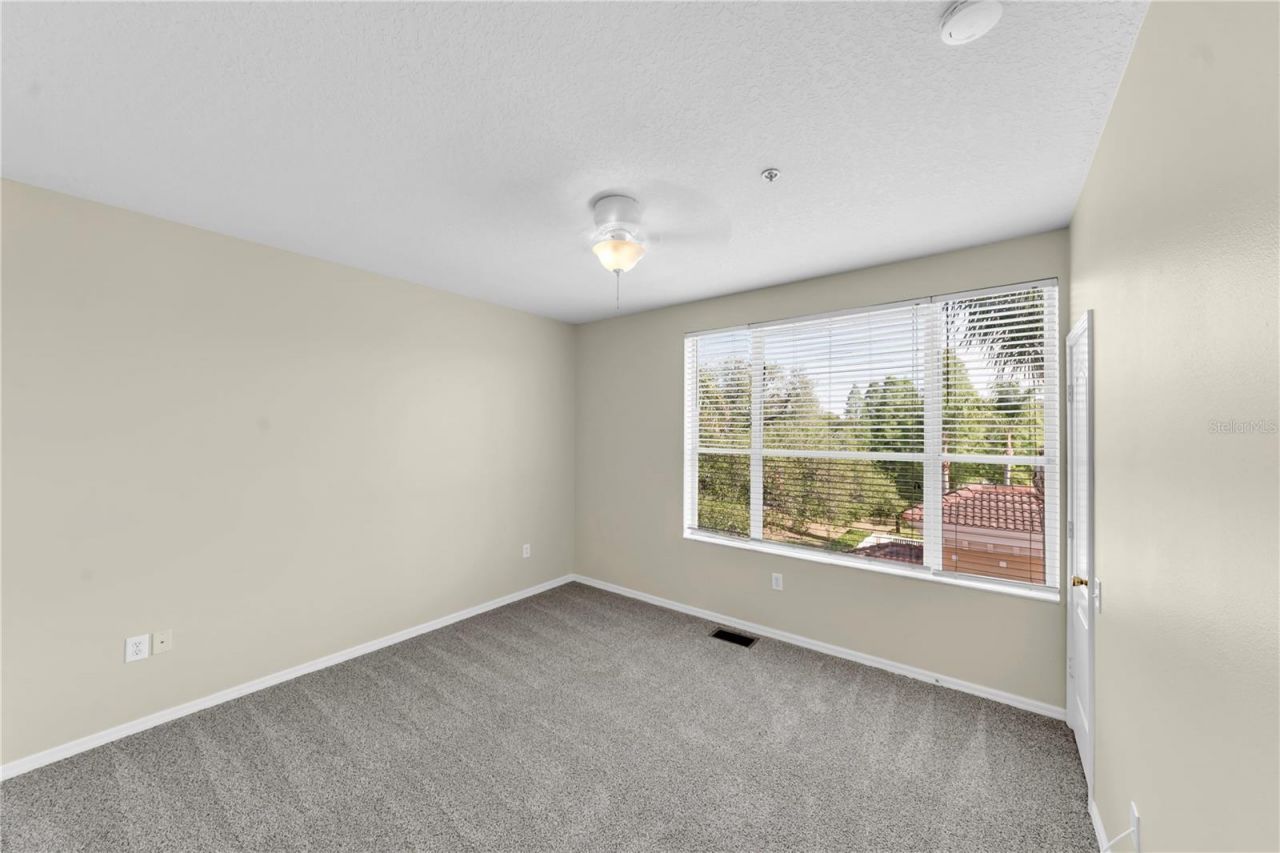 3115 Bayshore Oaks Drive, Tampa, FL 33611 Photo