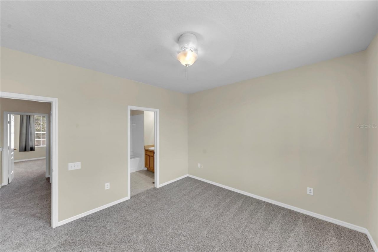 3115 Bayshore Oaks Drive, Tampa, FL 33611 Photo
