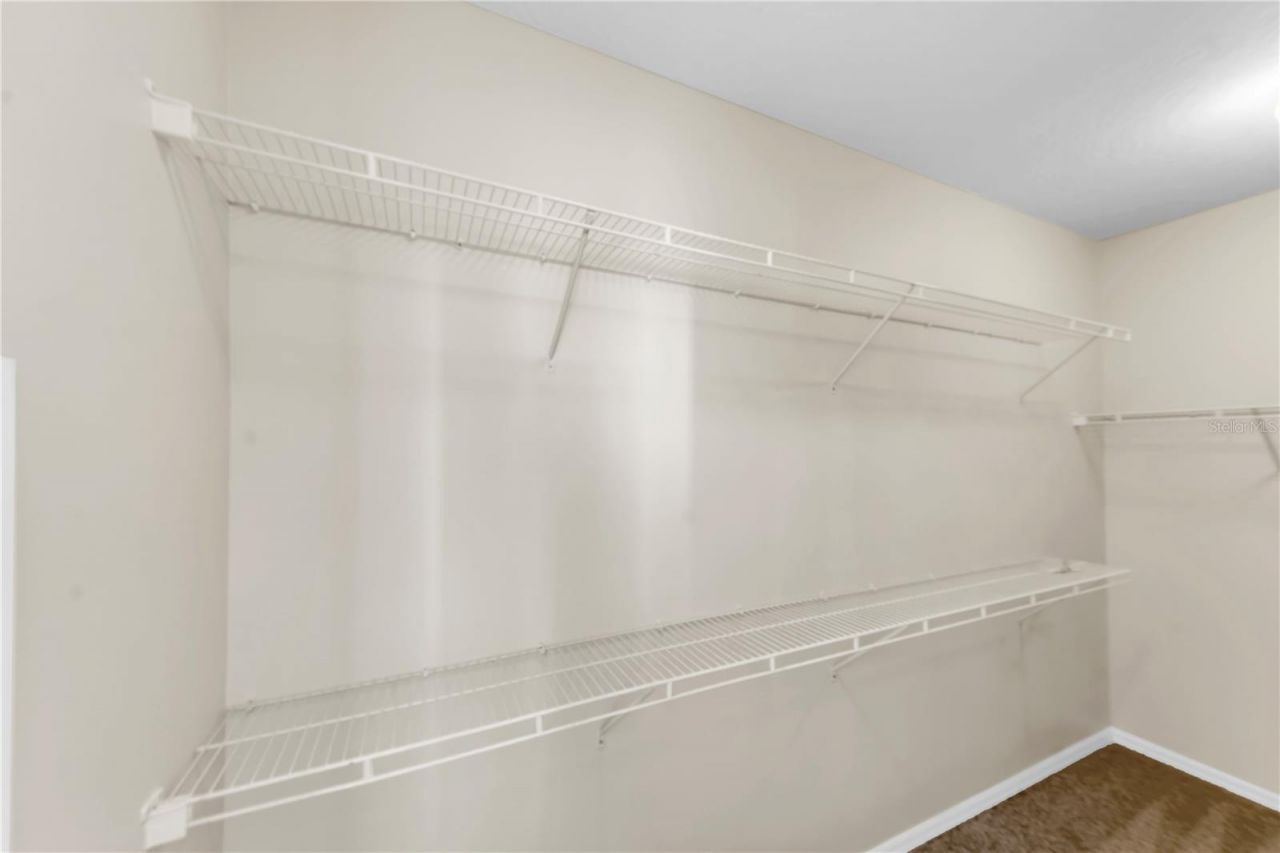 3115 Bayshore Oaks Drive, Tampa, FL 33611 Photo