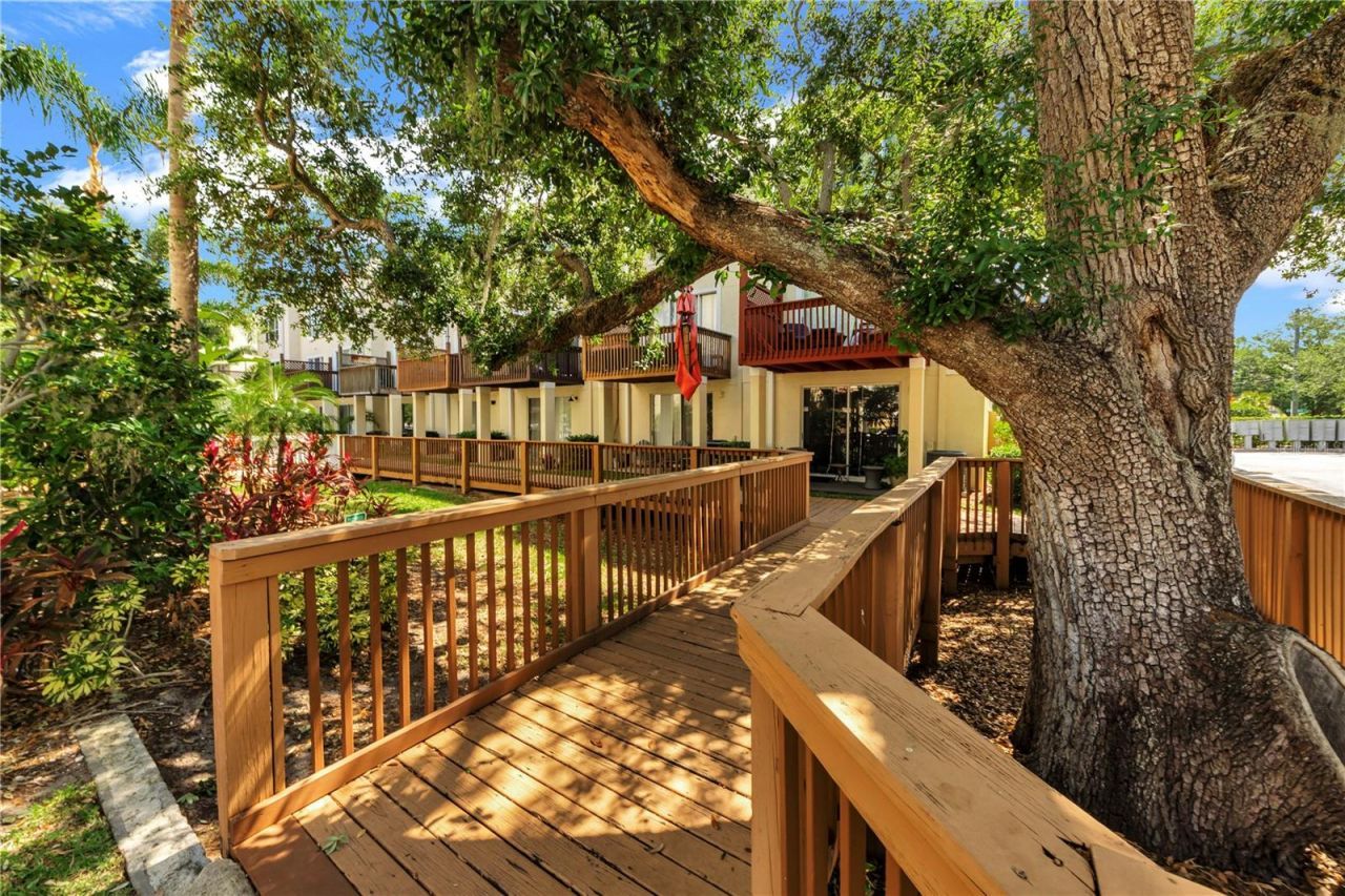 3115 Bayshore Oaks Drive, Tampa, FL 33611 Photo