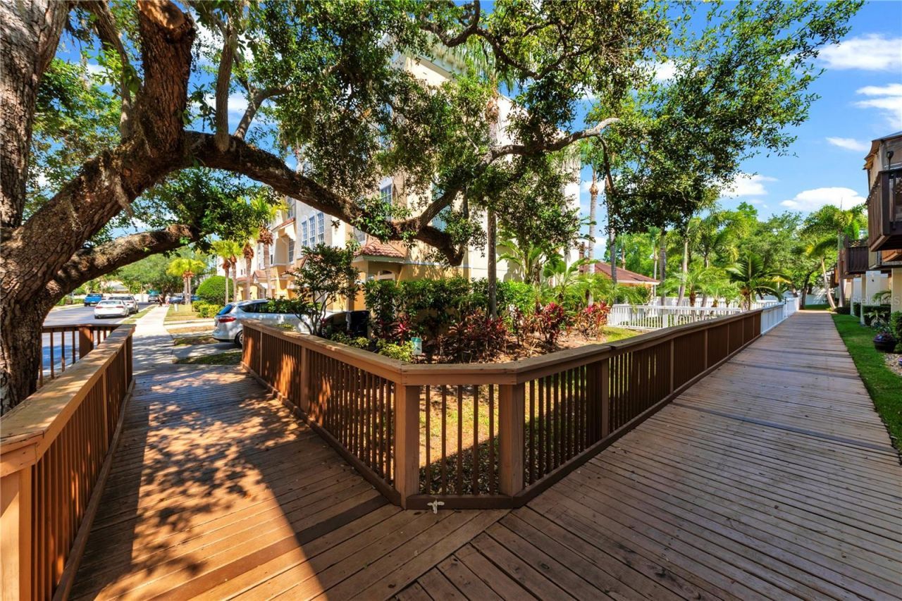 3115 Bayshore Oaks Drive, Tampa, FL 33611 Photo