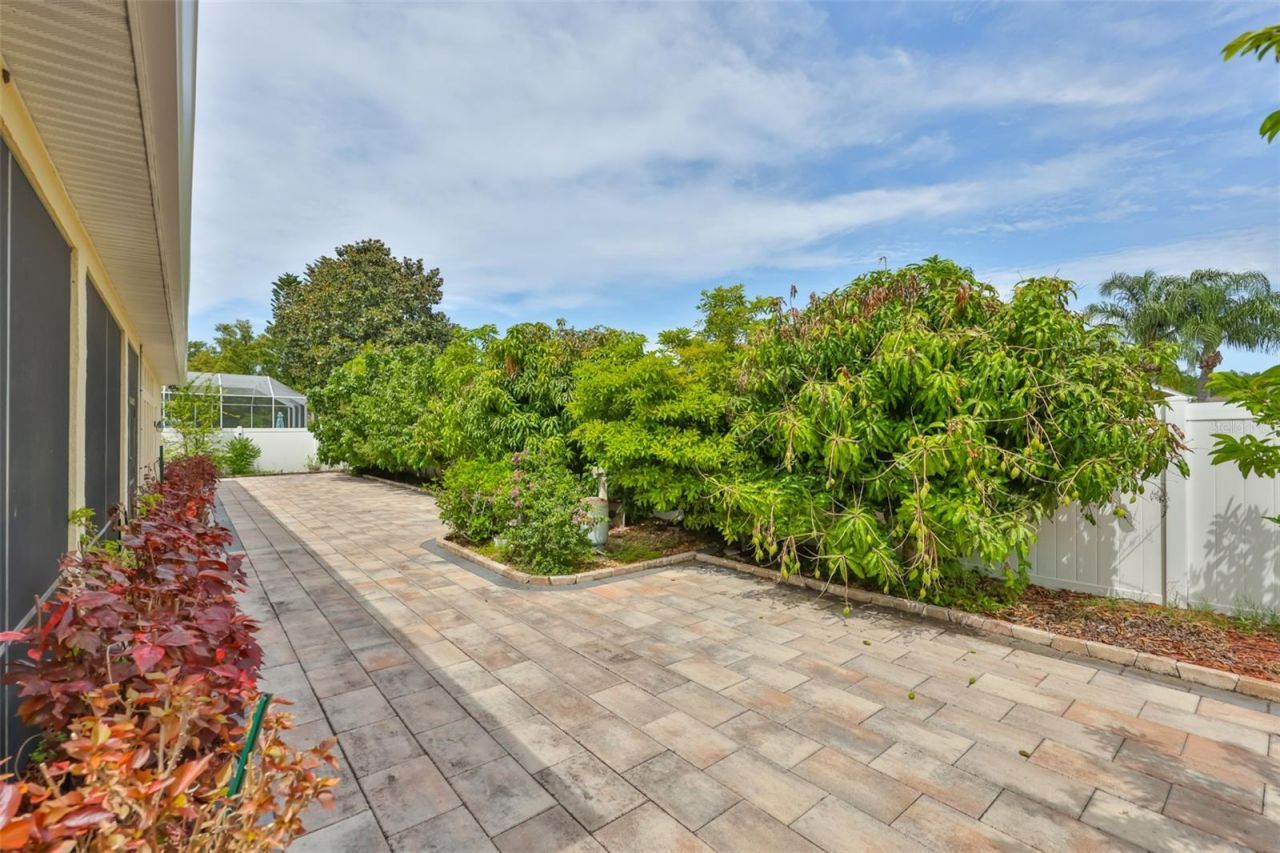 3822 Cardenal Avenue, Sun City Center, FL 33573 Photo