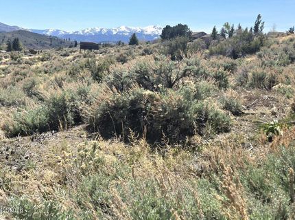 355 Shakehill Road, Markleeville, CA 96120 Photo