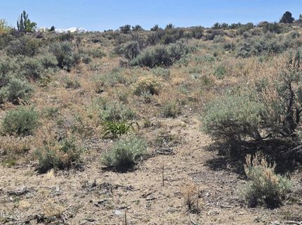 355 Shakehill Road, Markleeville, CA 96120 Photo