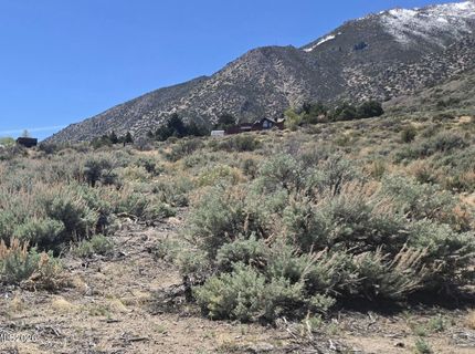 355 Shakehill Road, Markleeville, CA 96120 Photo