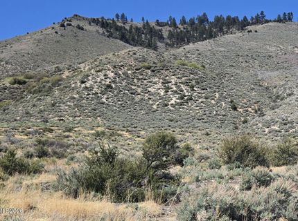 355 Shakehill Road, Markleeville, CA 96120 Photo