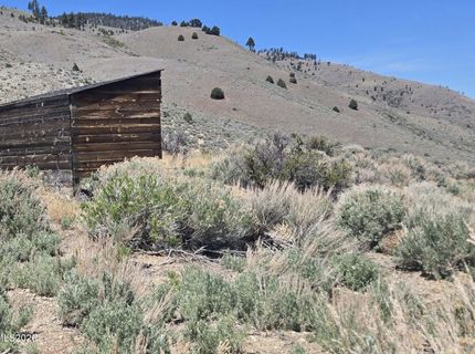 355 Shakehill Road, Markleeville, CA 96120 Photo