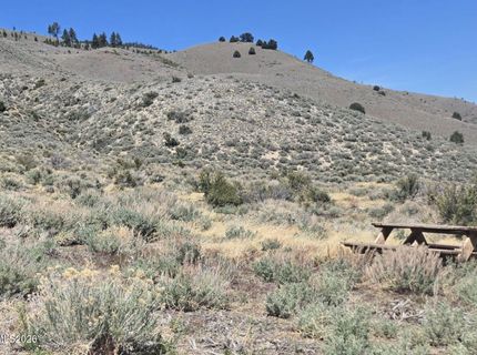 355 Shakehill Road, Markleeville, CA 96120 Photo